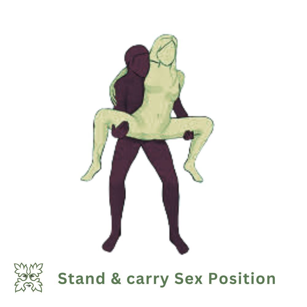 illustration of couple Stand and Carry Sex Position 